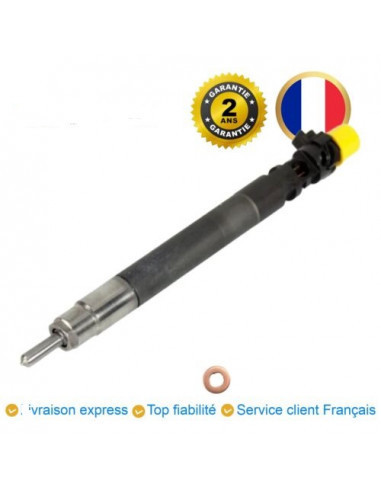 Injecteurs PEUGEOT EXPERT 2.0 HDi 100 98 CV...